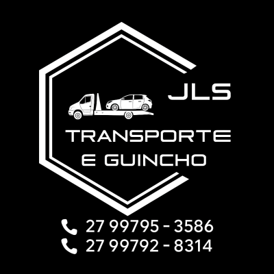 JLS Transporte e Guincho foto 1